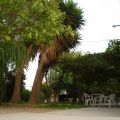 dsc00072.jpg